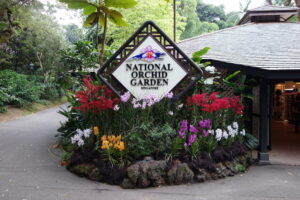 DSC01409