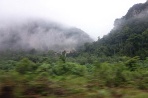 DSC01748