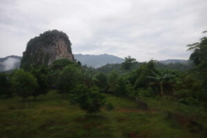 DSC01789