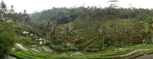 DSC03988